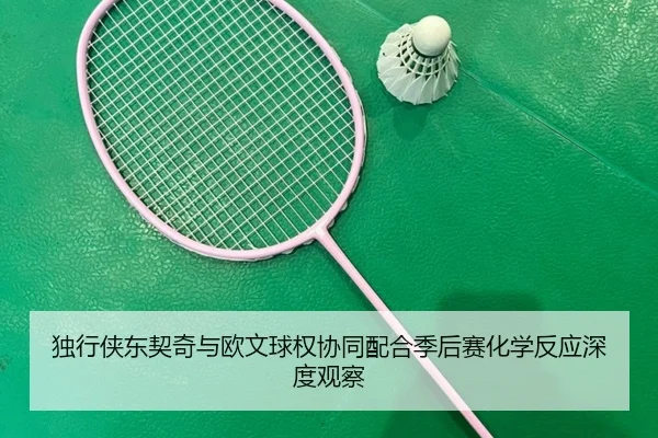 独行侠东契奇与欧文球权协同配合季后赛化学反应深度观察