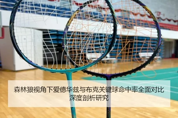 森林狼视角下爱德华兹与布克关键球命中率全面对比深度剖析研究