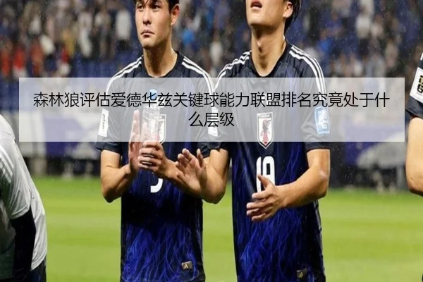 森林狼评估爱德华兹关键球能力联盟排名究竟处于什么层级
