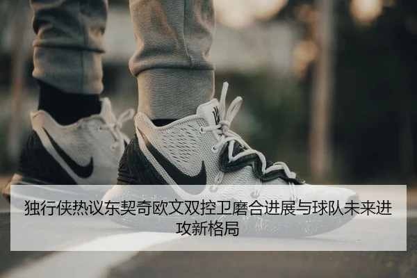 独行侠热议东契奇欧文双控卫磨合进展与球队未来进攻新格局